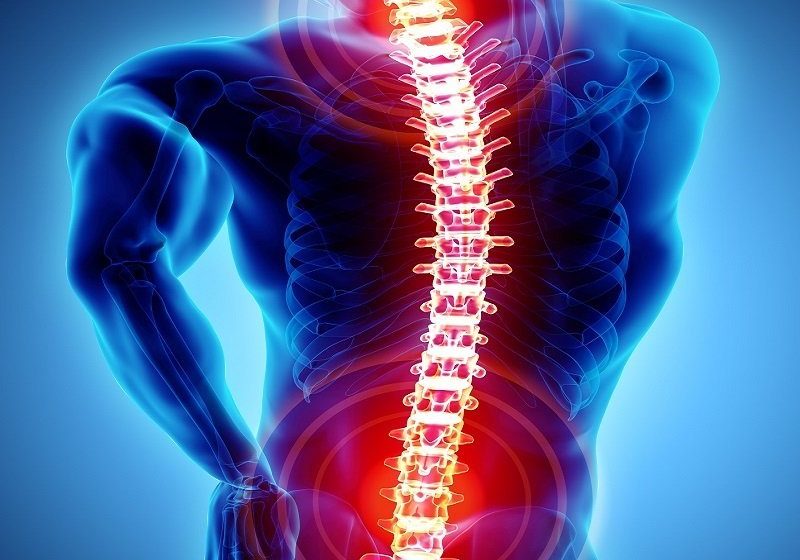 Chiropractic Treatment